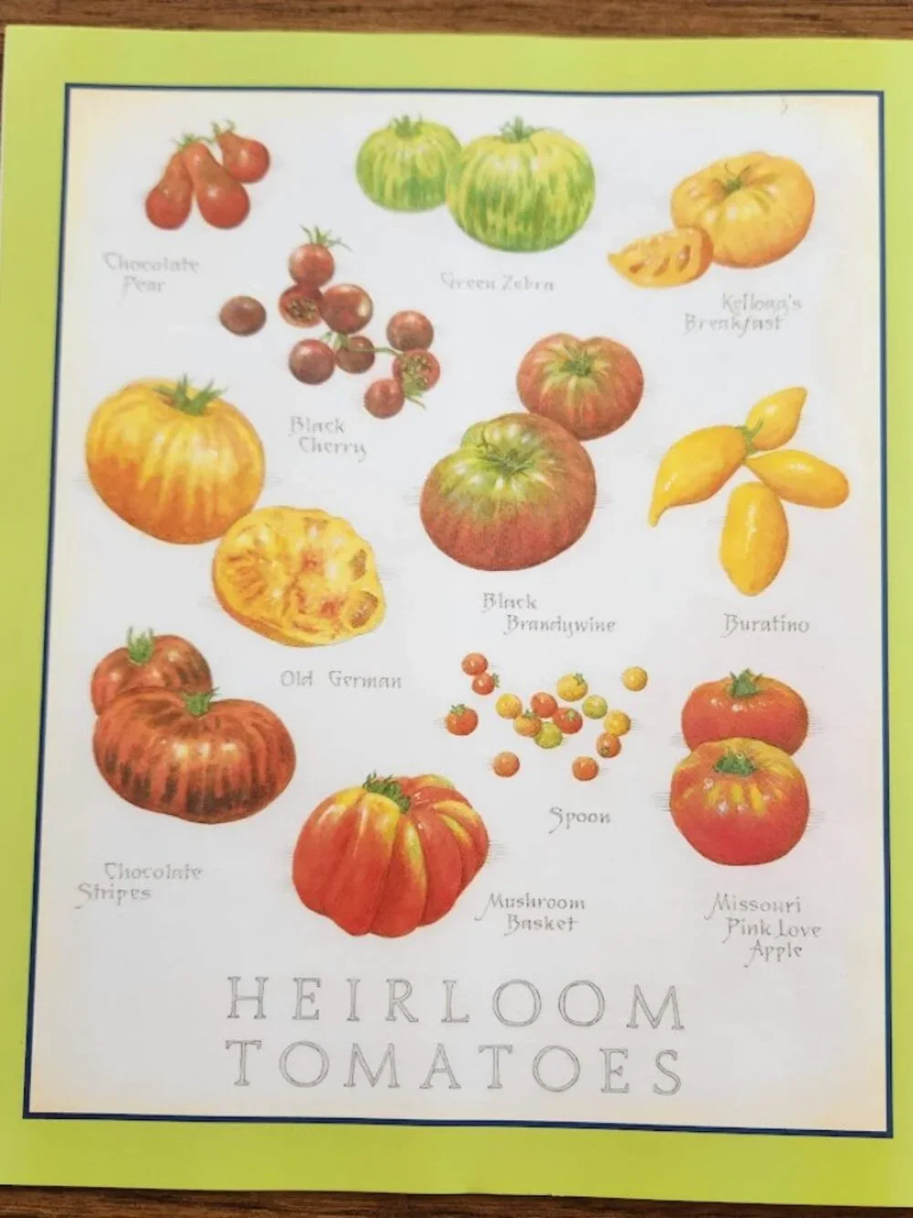 Cook's Illustrated Magazine July & August 2025 Issue #195 Cooking Recipe Book Re